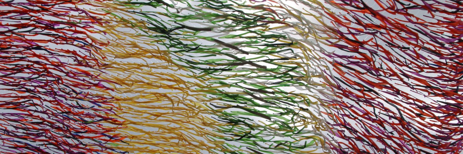 cmembrane416's profile banner image