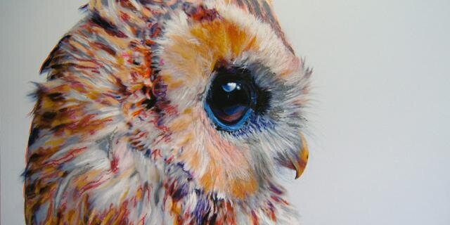 ayuprilliya's profile banner image