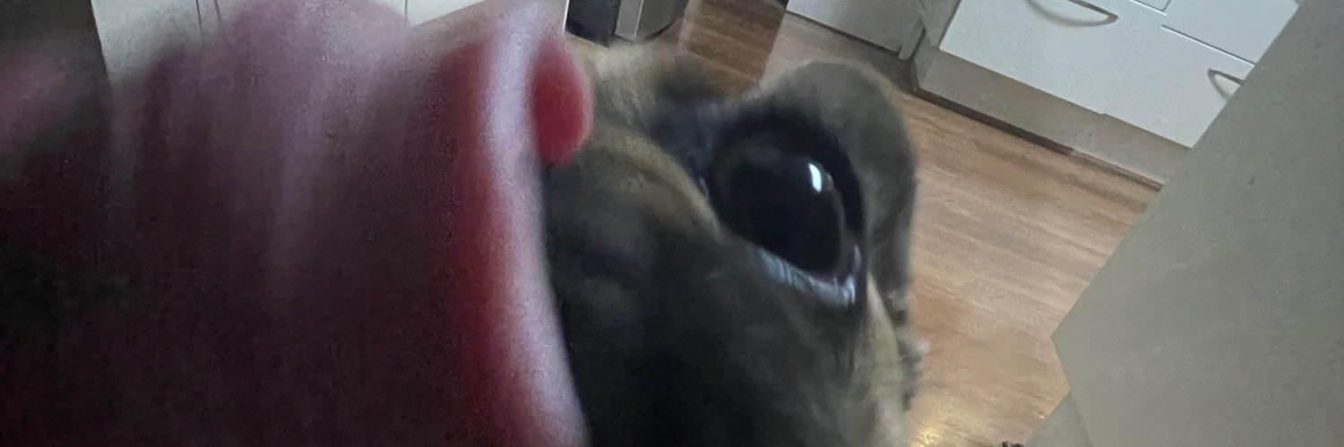 ZeroRelevance0's profile banner image
