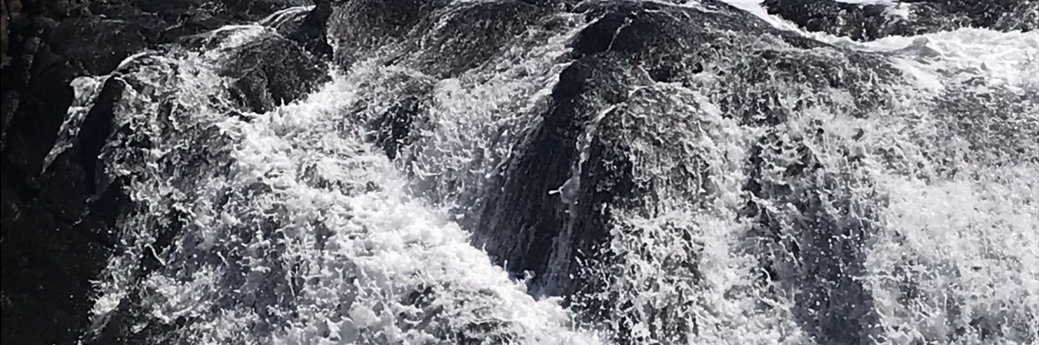 Gracella Virginia M banner