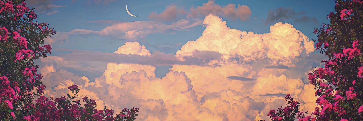 sedagulerr6's profile banner image