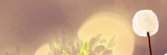 chy_ssb's profile banner image