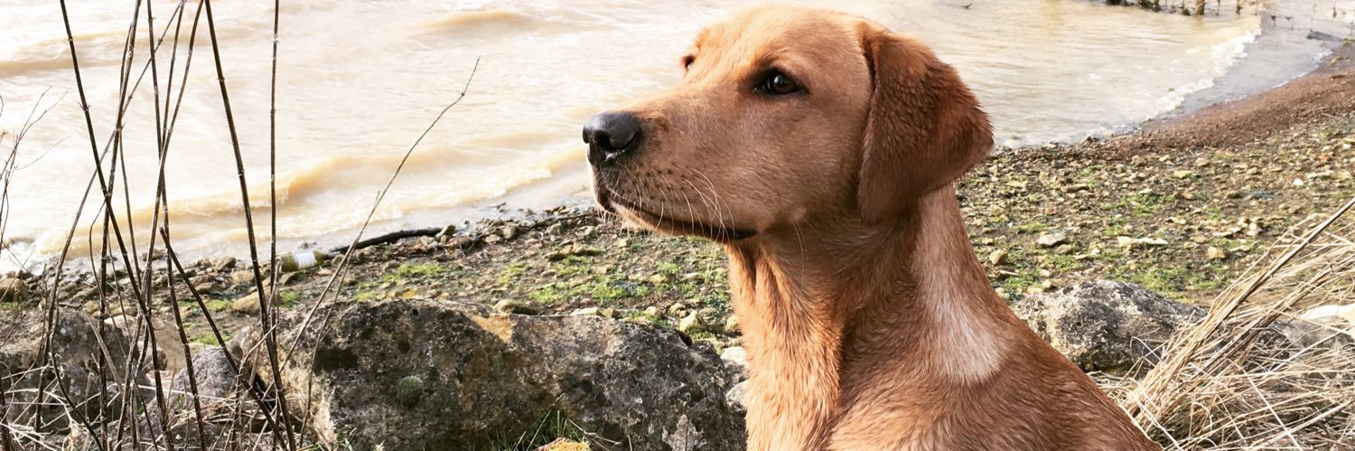 George Baxter banner