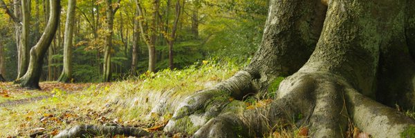 BCastagneyrol Profile Banner