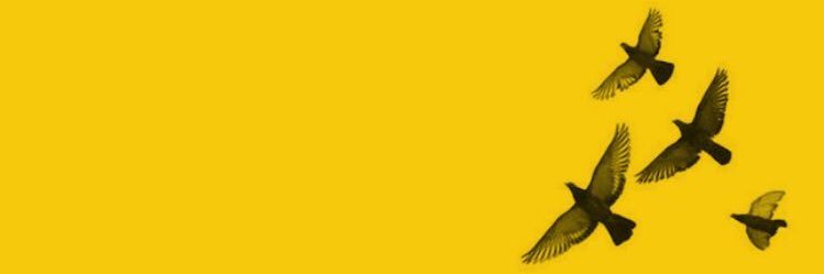 Amarenas_'s profile banner image