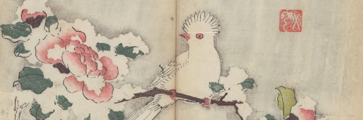 Cambridge UL Special Collections's banner
