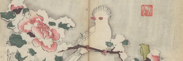 theULSpecColl Profile Banner