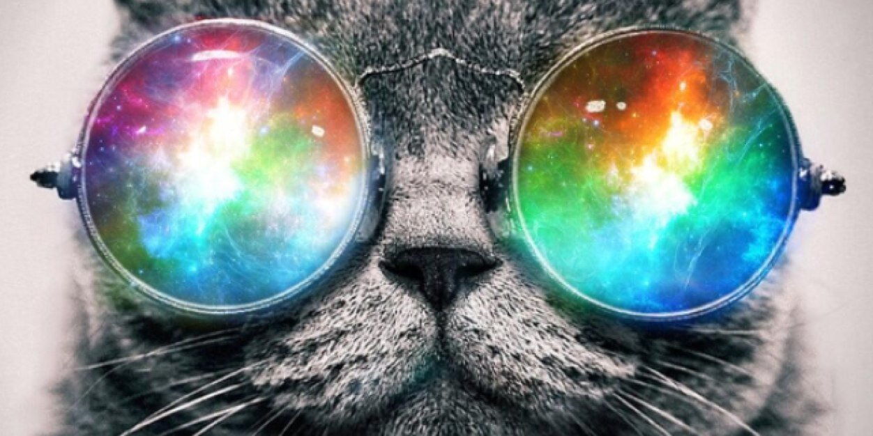 alexmoatey's profile banner image