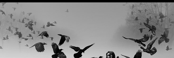 KalagheSiyah's profile banner image