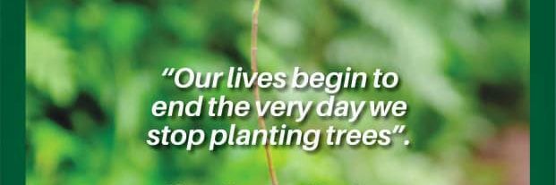 The Green Republic Project banner