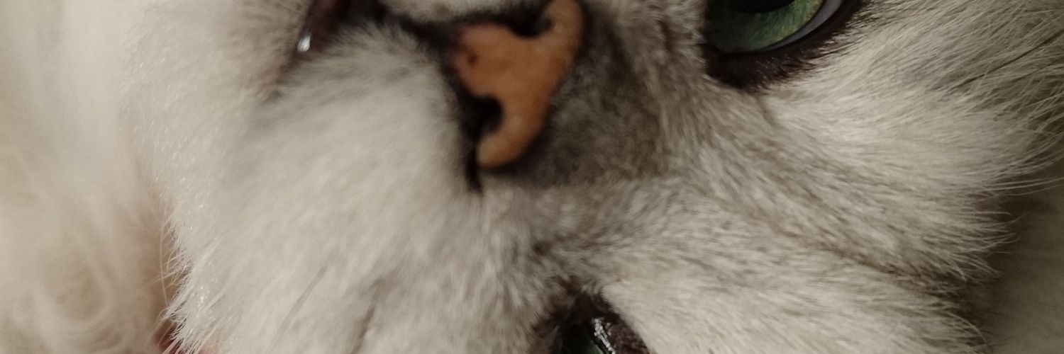 miraclelychee's profile banner image