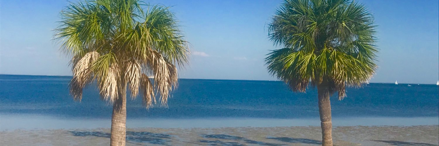 TampaTech4Good banner