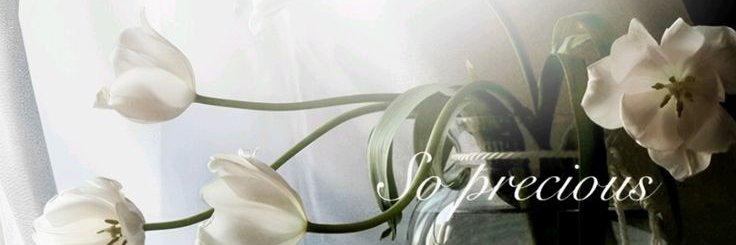 Sara banner