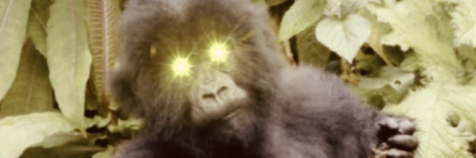 mtb4AMC's profile banner image
