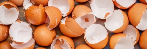 eggforlove's profile banner image