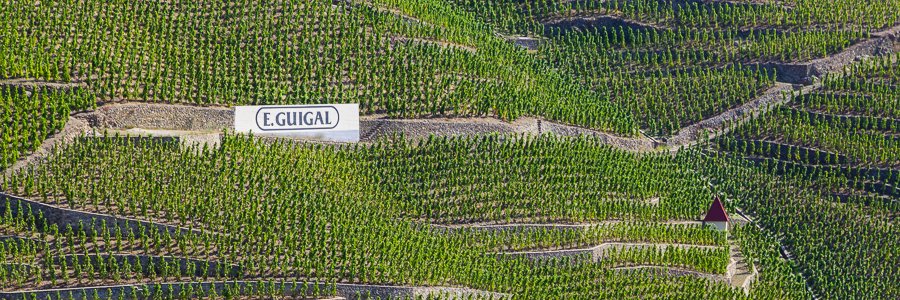 Domaine Guigal banner
