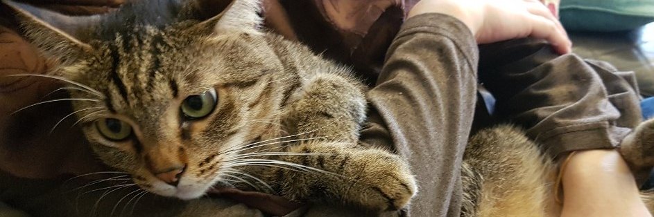 🇲🇾 🇵🇸Mary A banner