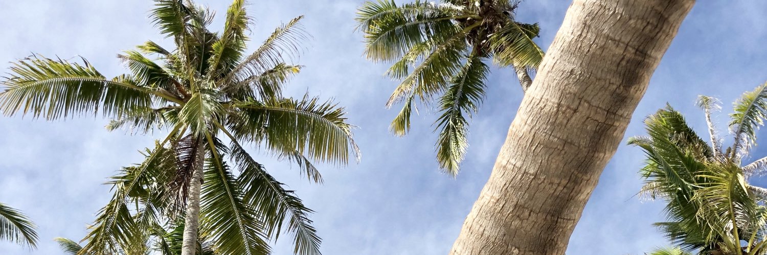 Klydaineee's profile banner image