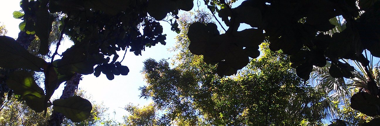 Francesca Jenner banner