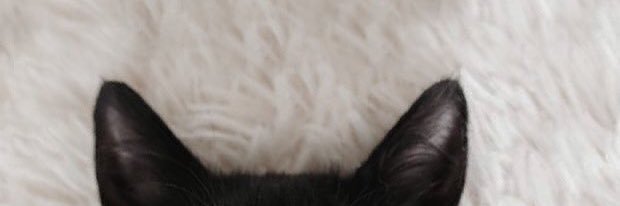 haechanrrrr's profile banner image