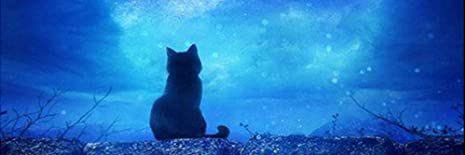 PippyKitten's profile banner image