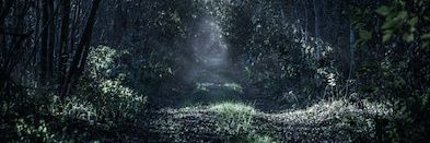 jamesduhs's profile banner image