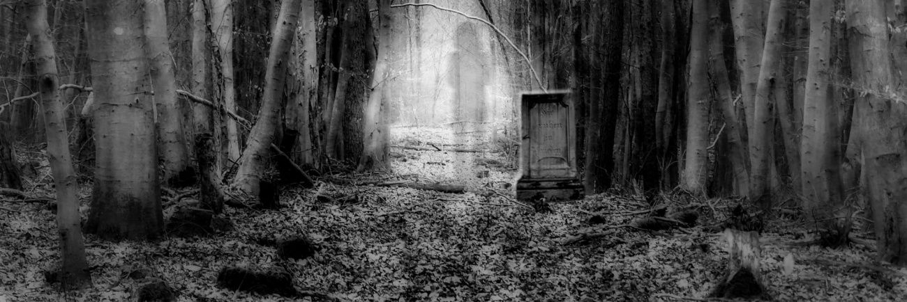 HauntedPara's profile banner image