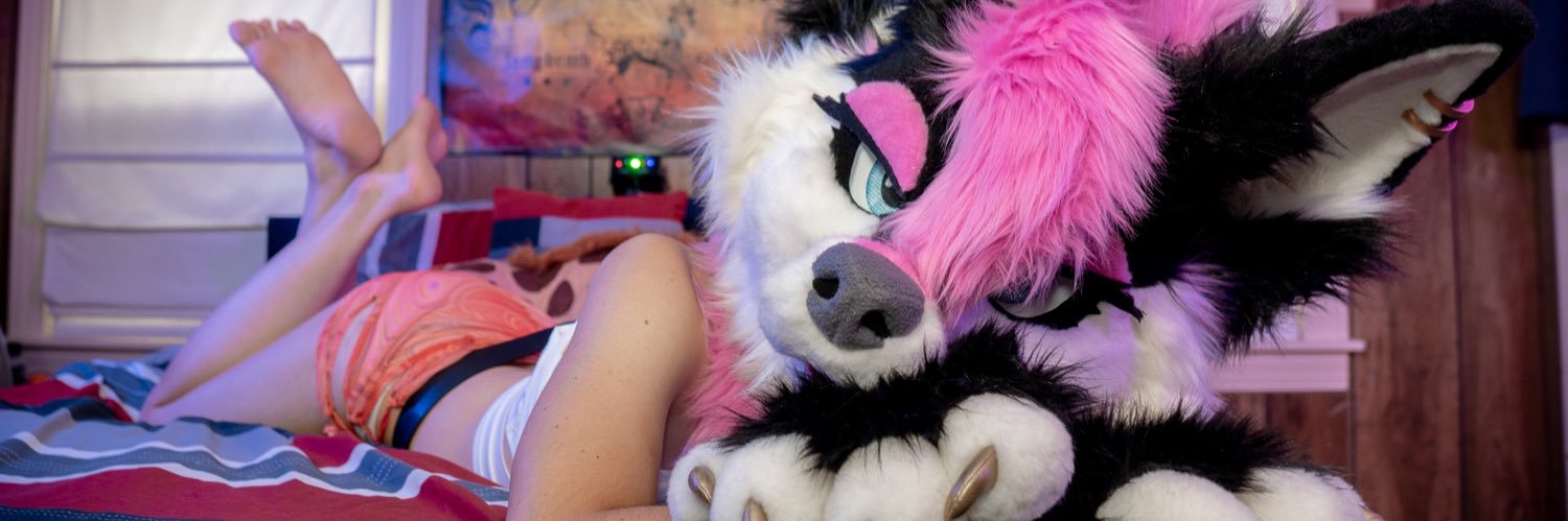 Pink Dog 🔜 LVFC banner