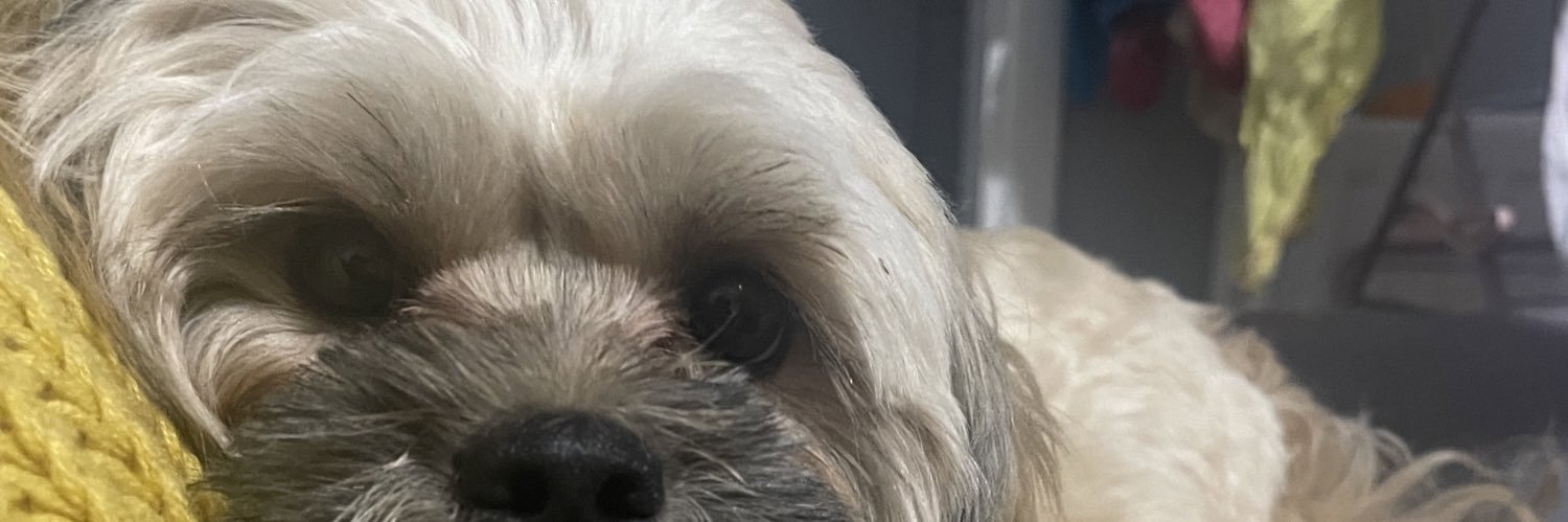comealongpond93's profile banner image