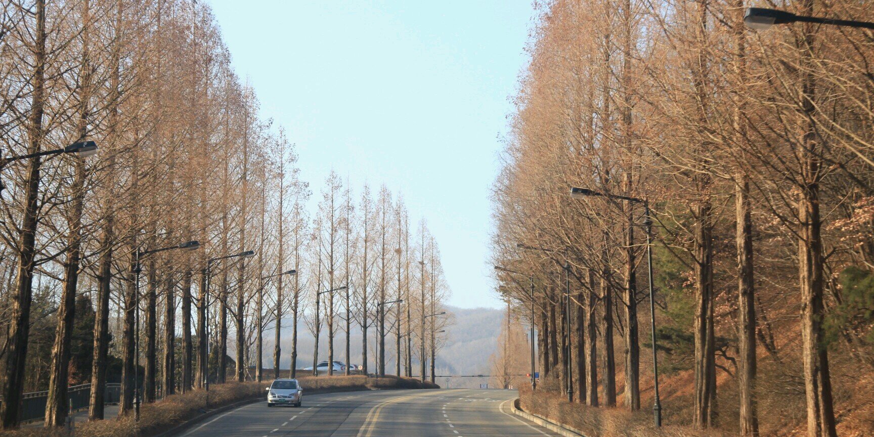 ChoiSiAn's profile banner image