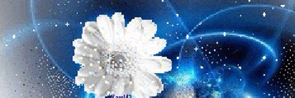 RENEEWEATHERS2 Profile Banner