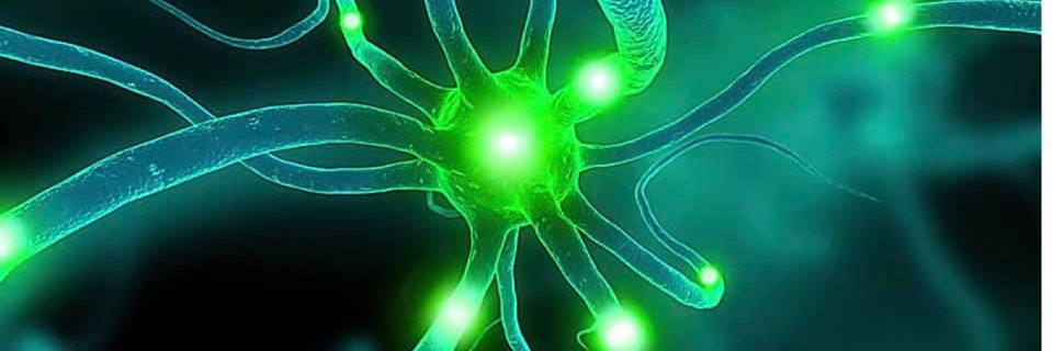 LyleFried's profile banner image