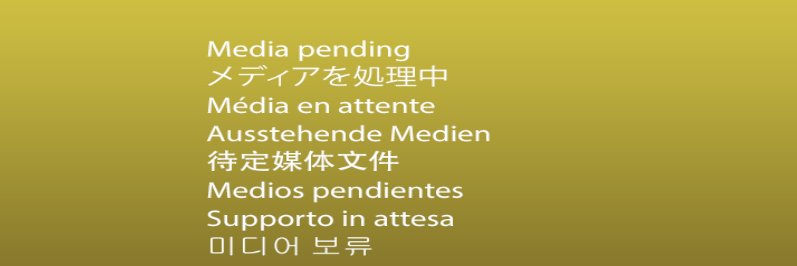 Arturo Bracero banner