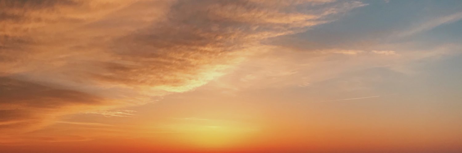polochka's profile banner image