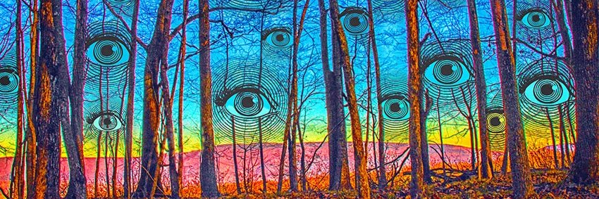 LARRY CARLSON banner