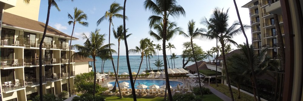 Alex🇺🇸ロサンゼルス banner