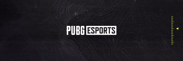 PUBGEsports Profile Banner