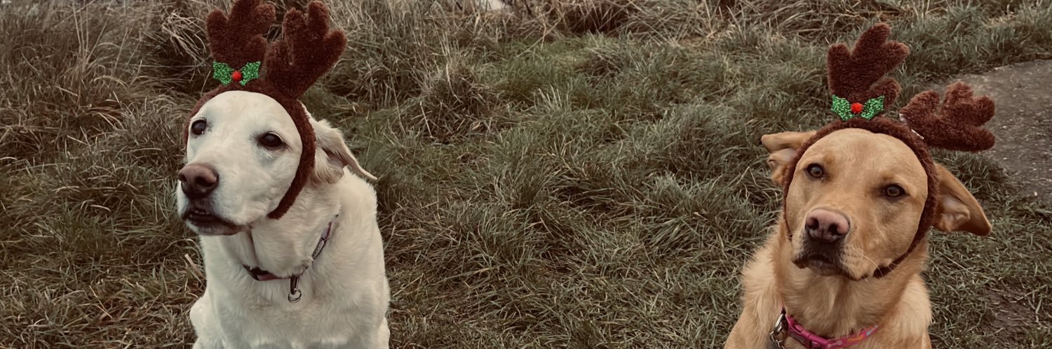 AshaleeMcAndrew's profile banner image