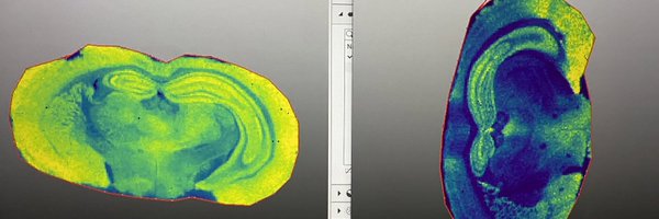 imaging_ms Profile Banner