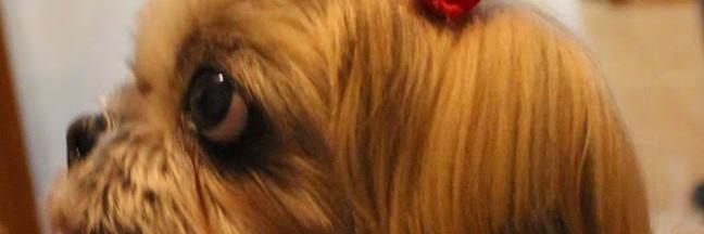 kissy2go's profile banner image