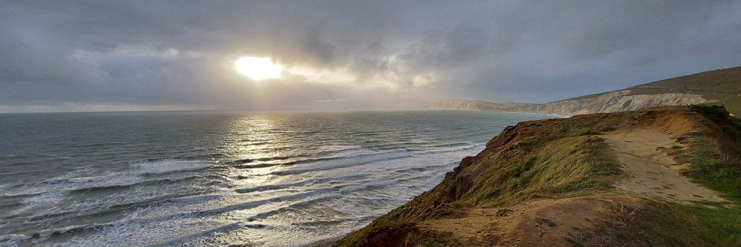 Sandra Courtiour banner