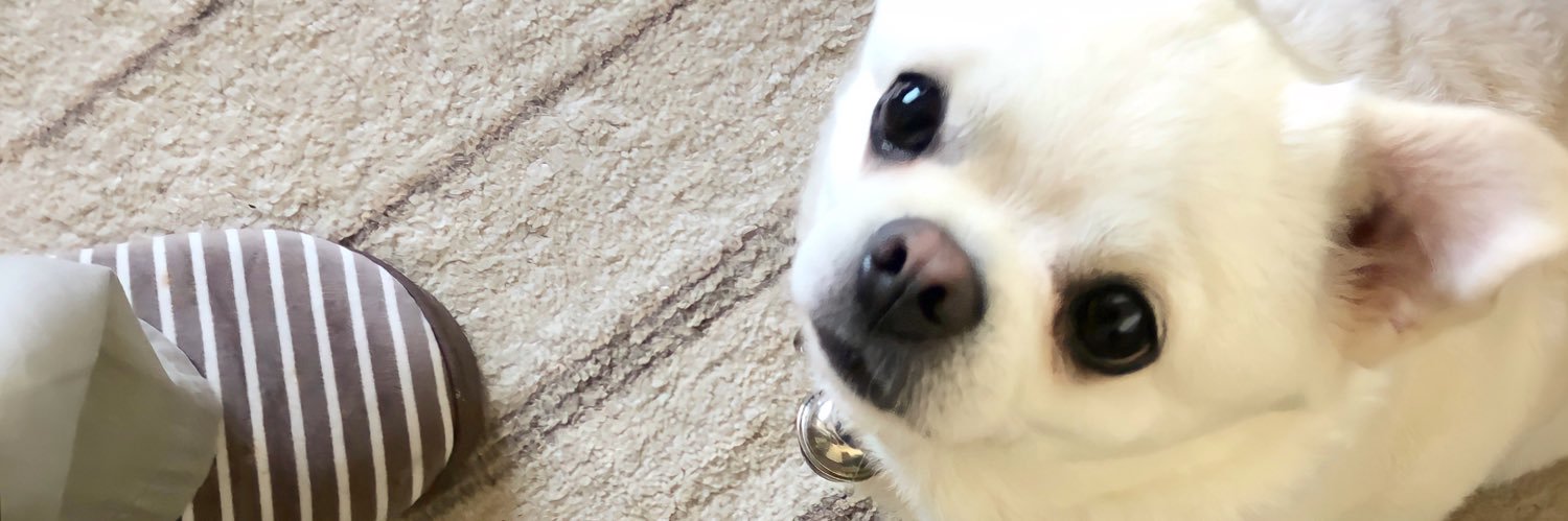 เดย์ ,, banner