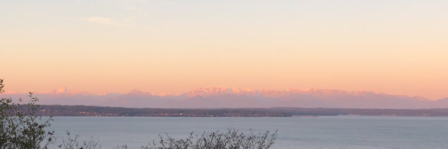 Damon Cortesi banner