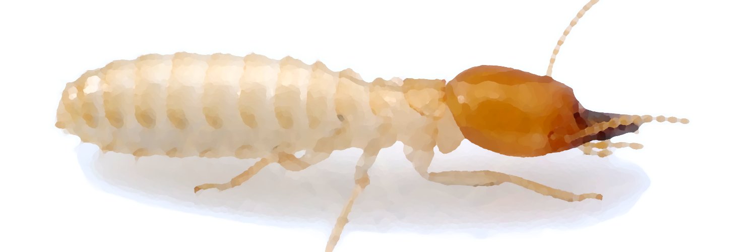 Thomas Chouvenc / Termite lab banner