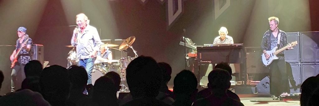 りあら＠ちまねこ(ФωФ) banner