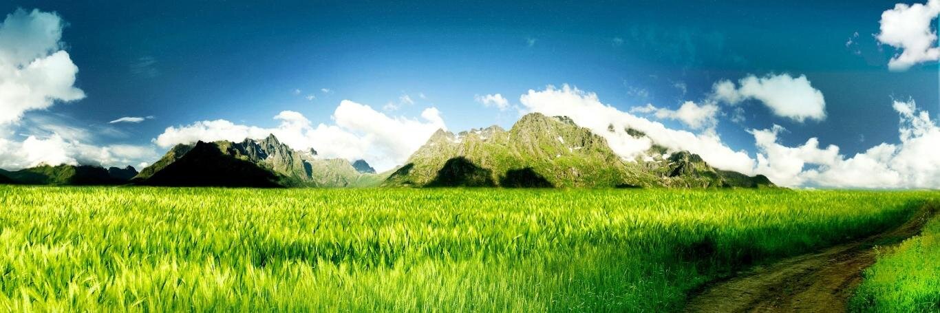 bhaumikhp's profile banner image