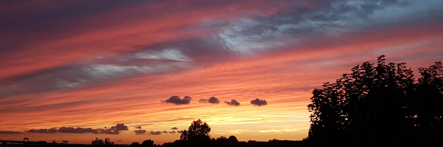 ashpurple93's profile banner image