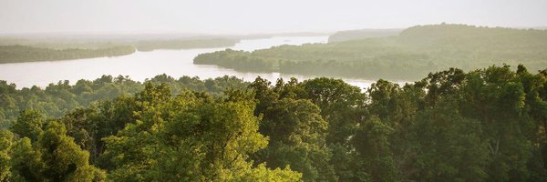 P_Abbaszadeh Profile Banner