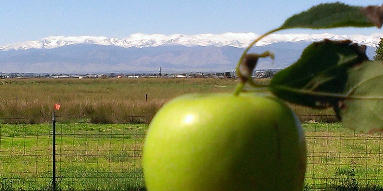 WildCiderCo's profile banner image