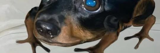 wewbeiby's profile banner image
